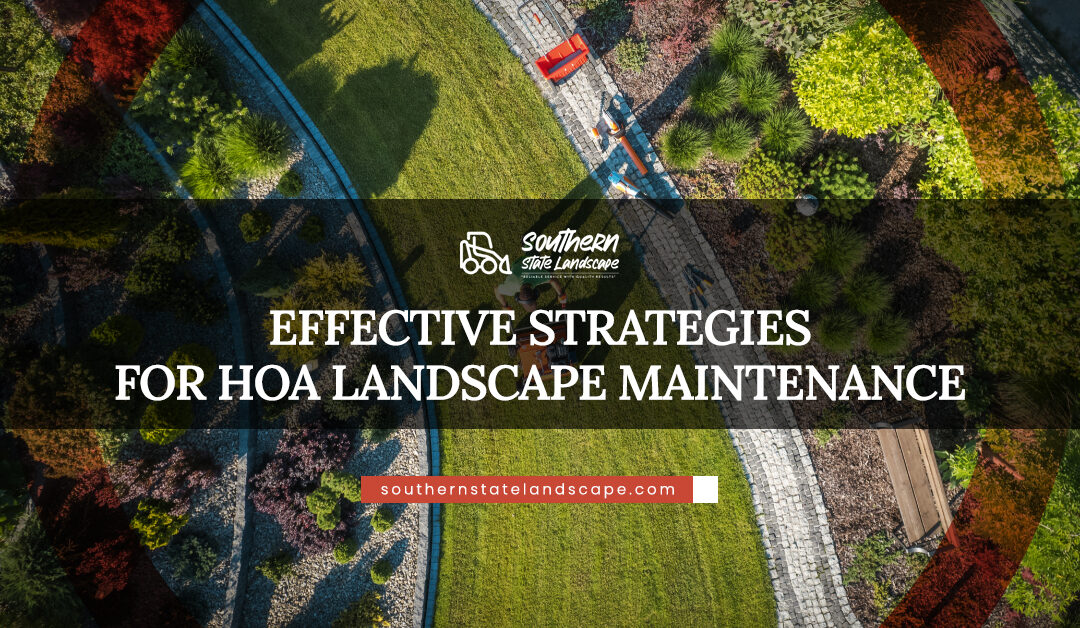 Effective Strategies for HOA Landscape Maintenance