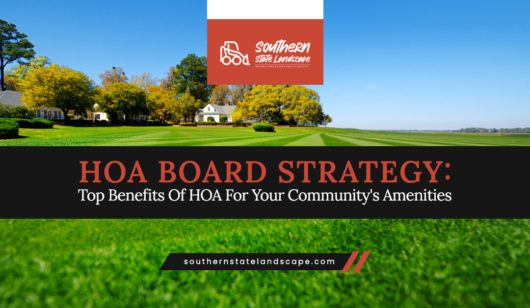 HOA Board Strategy: Benefits Of HOA Amenities