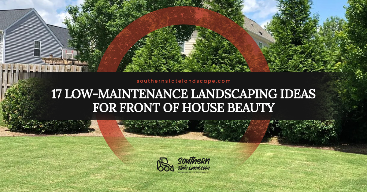 low maintenance landscaping ideas for front of house