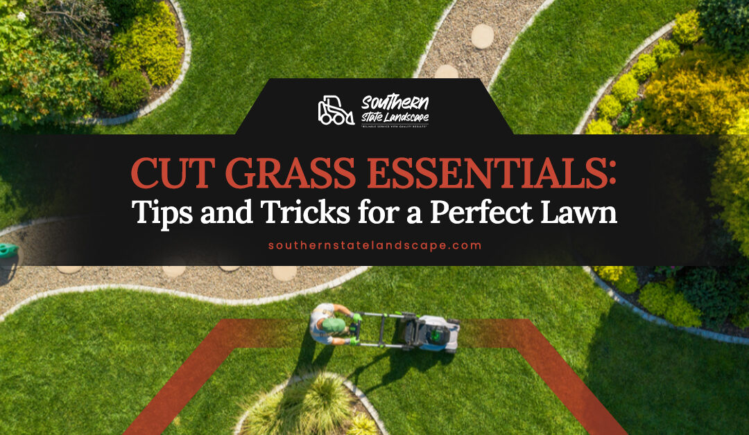 Cut Grass Essentials: Tips and Tricks for a Perfect Lawn