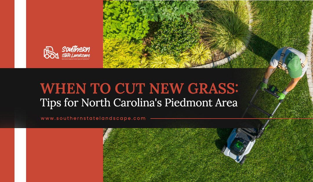 When to Cut New Grass: Tips for North Carolina’s Piedmont Area