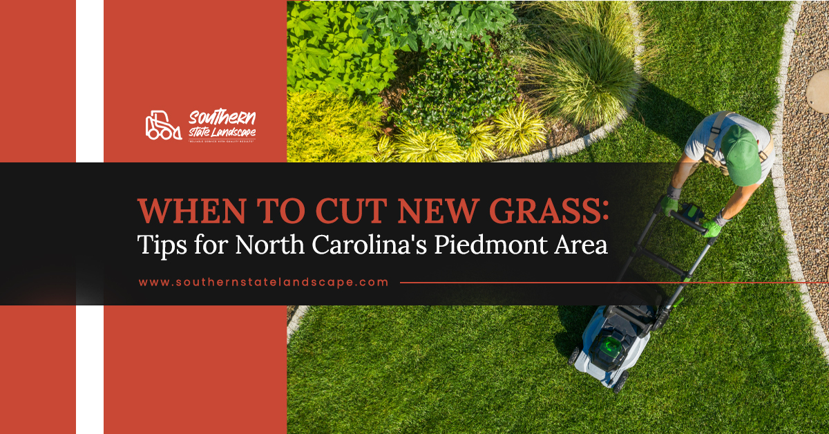 when to cut new grass