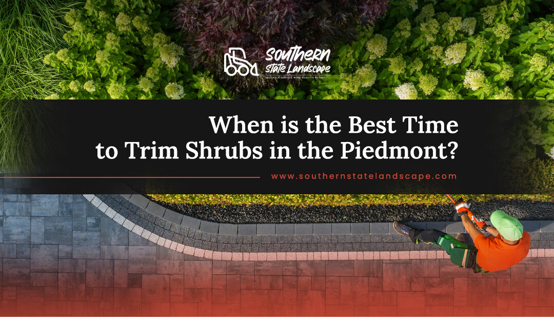 When is the Best Time to Trim Shrubs in the Piedmont?