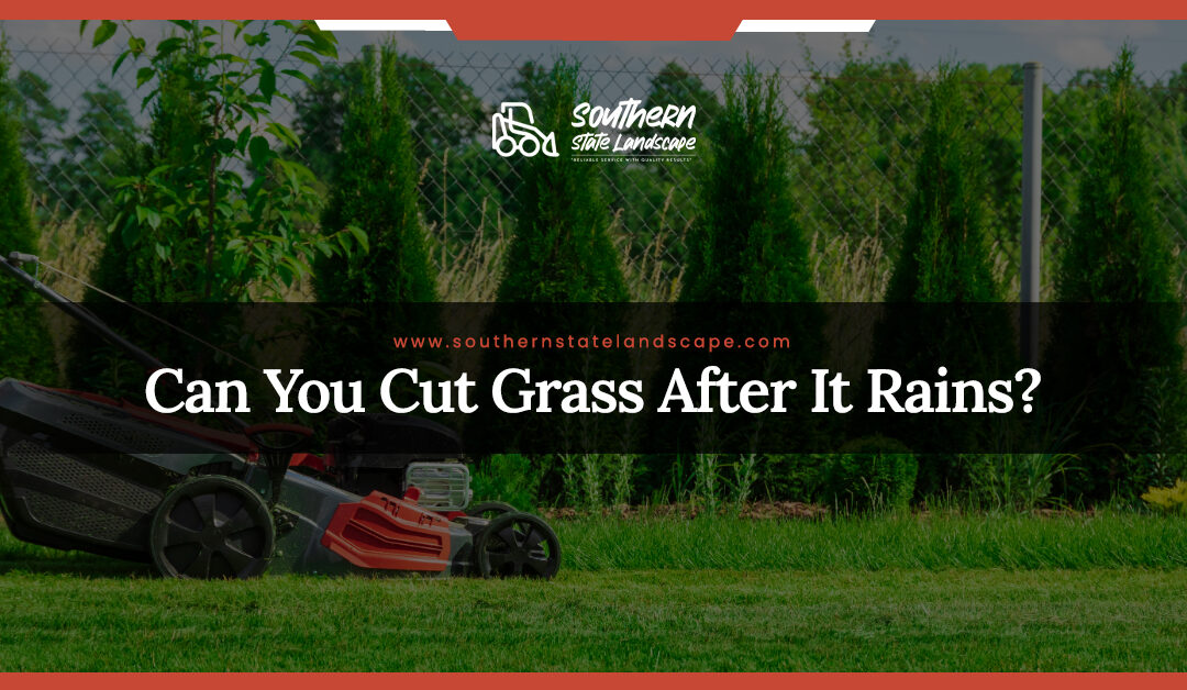 Can You Cut Grass After It Rains?