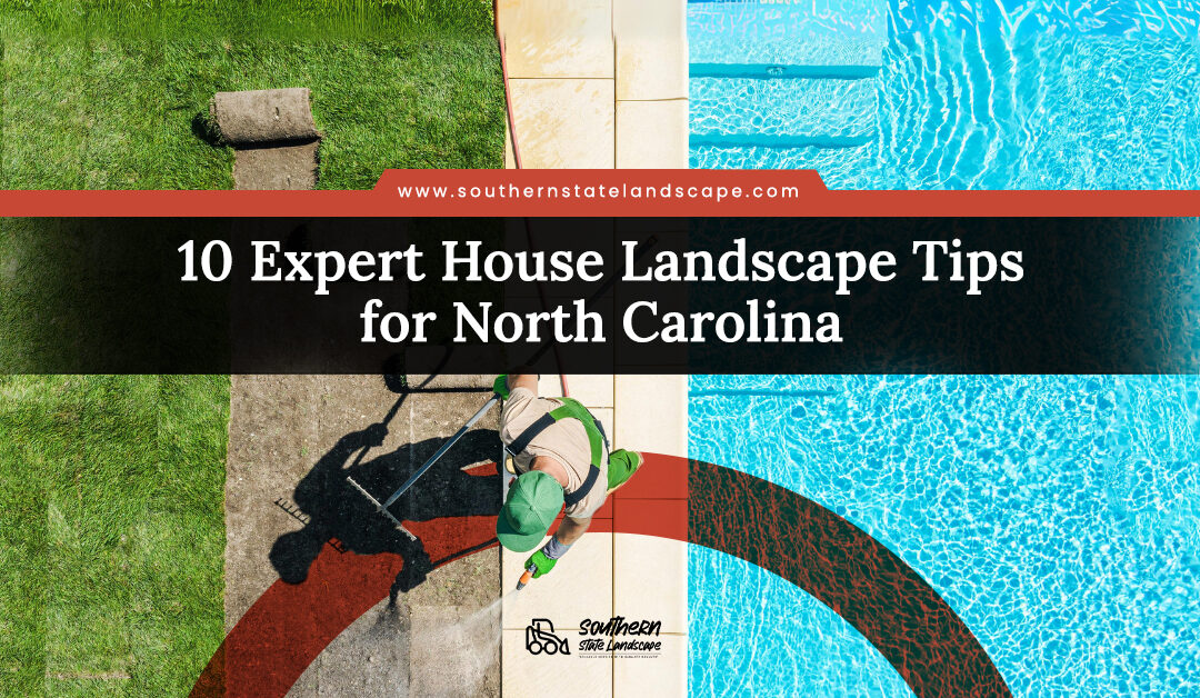 10 Expert House Landscape Tips for North Carolina