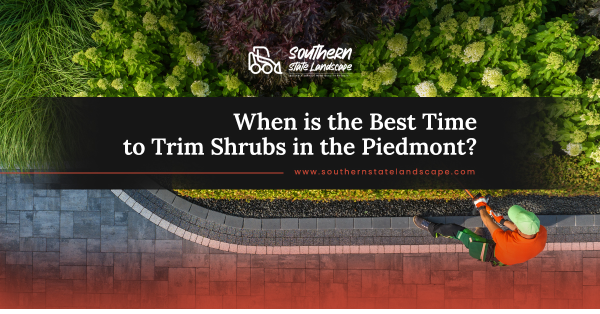 when is the best time to trim shrubs