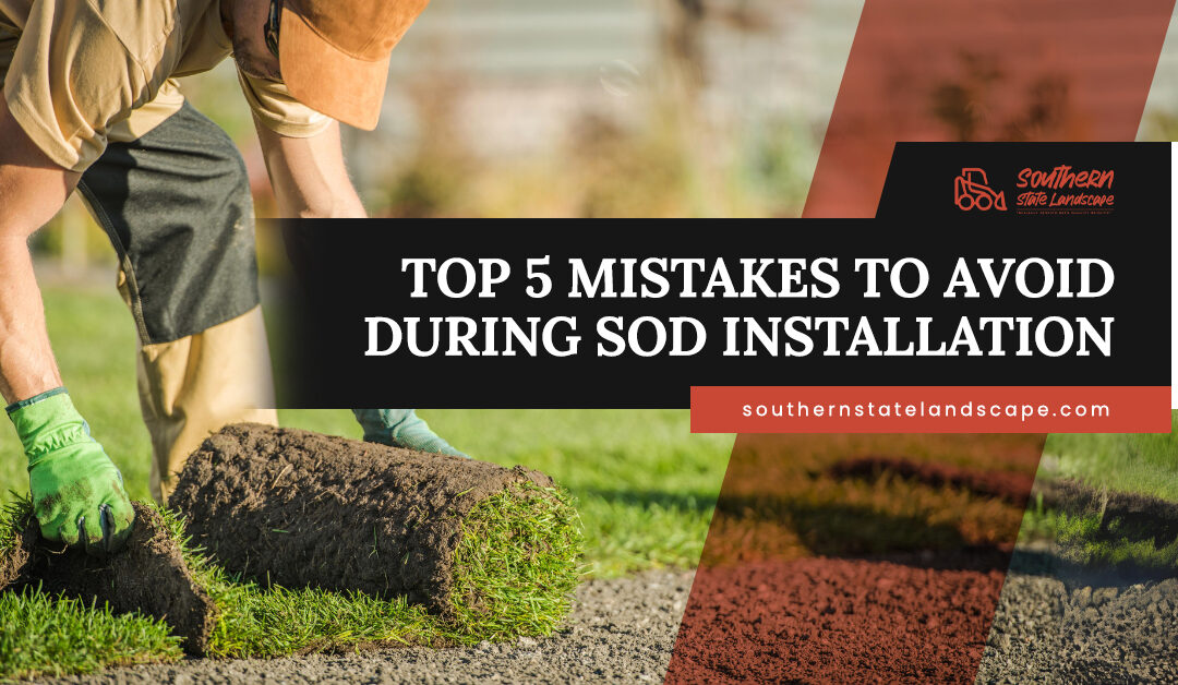 Top 5 Mistakes to Avoid During Sod Installation