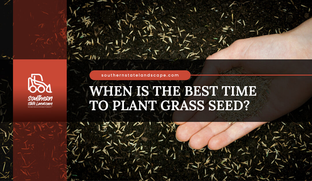 When Is the Best Time to Plant Grass Seed?