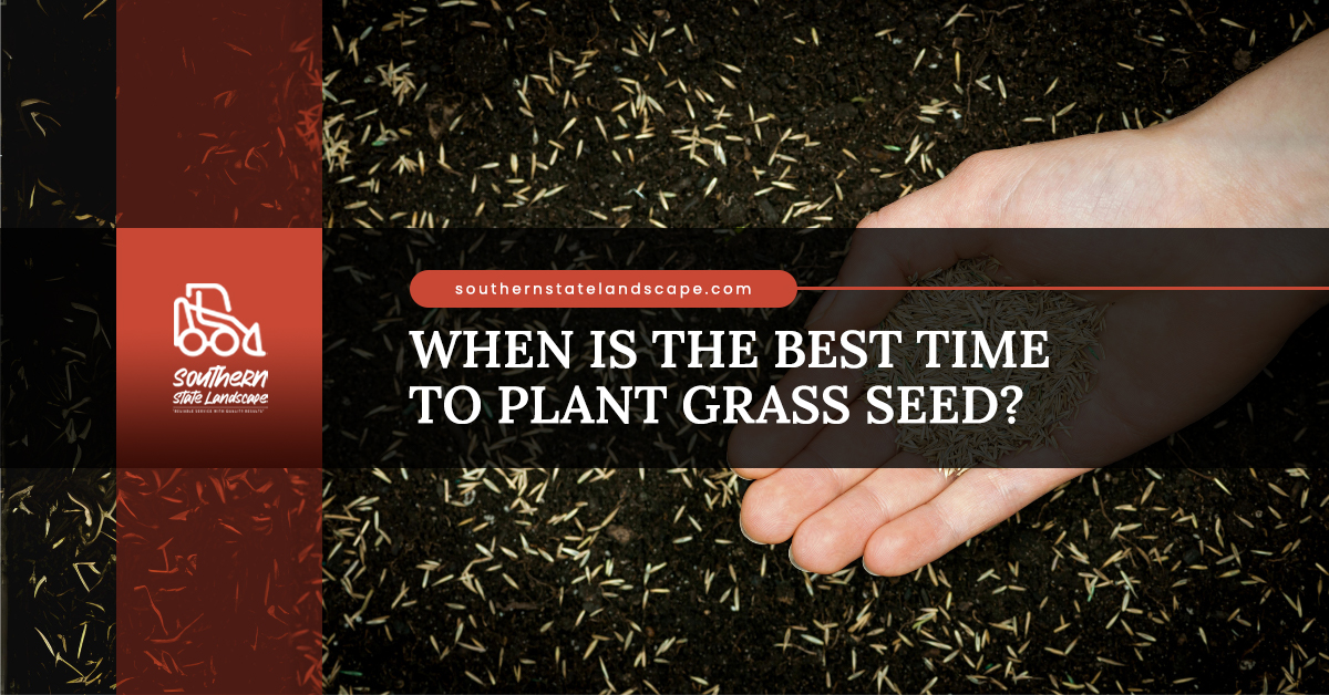 When Is the Best Time to Plant Grass Seed