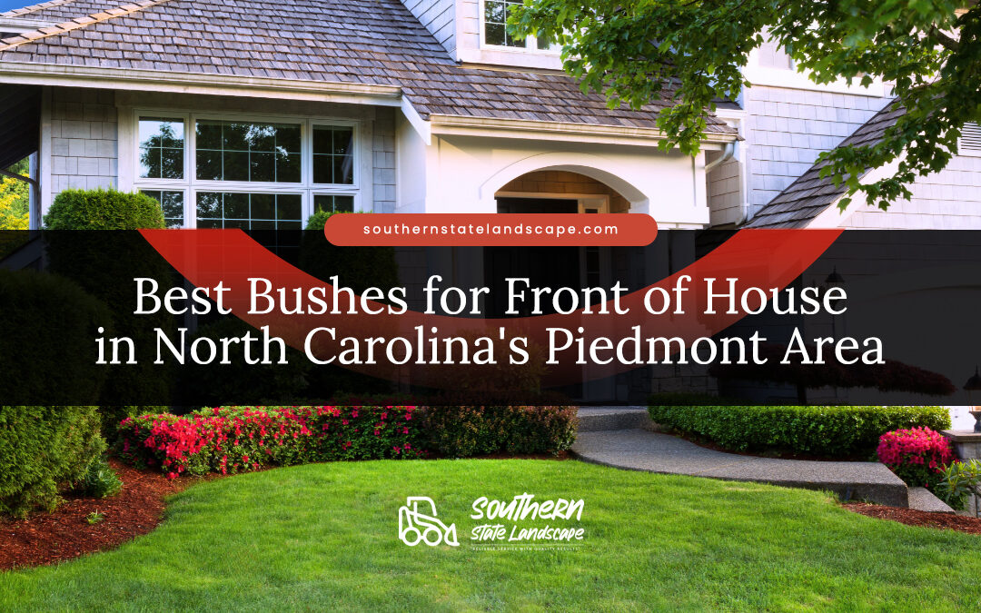 Best Bushes for Front of House in North Carolina’s Piedmont Area