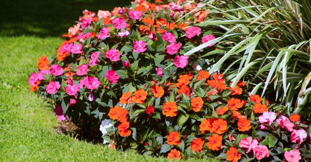 Modern Flower Bed Ideas