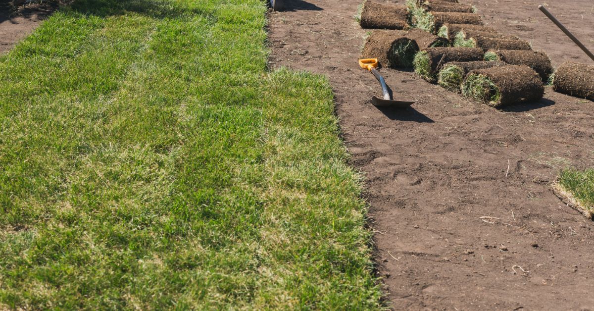 Laying Sod Without Tilling