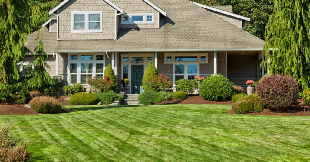 Lawn Care Solutions