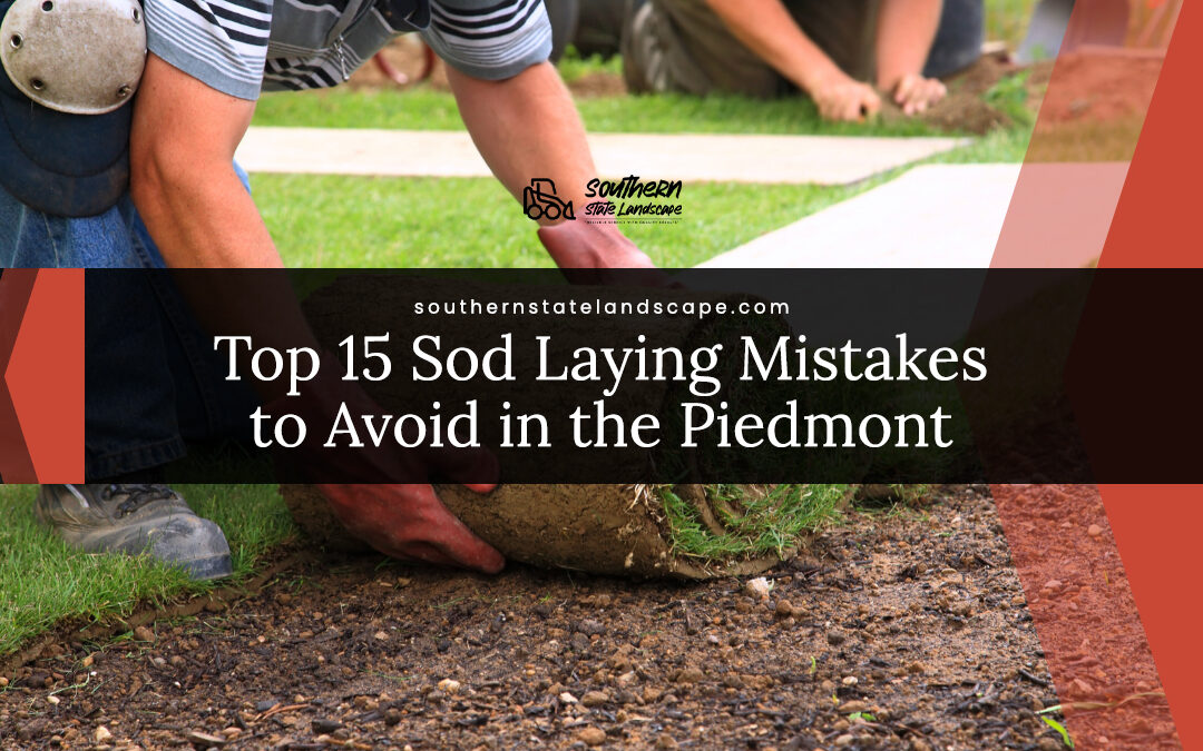 Top 15 Sod Laying Mistakes to Avoid in the Piedmont