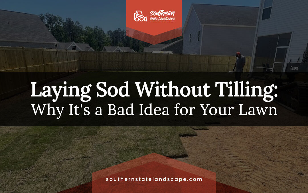 Laying Sod Without Tilling: Why It’s a Bad Idea for Your Lawn