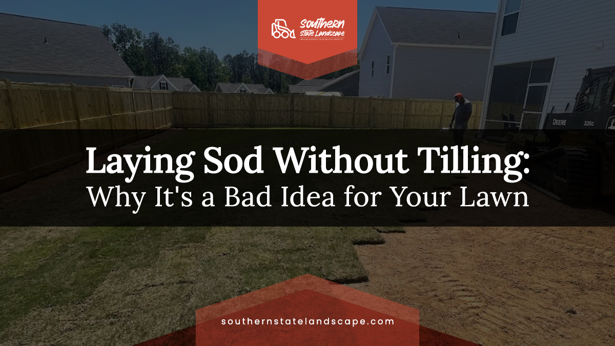 Laying Sod Without Tilling