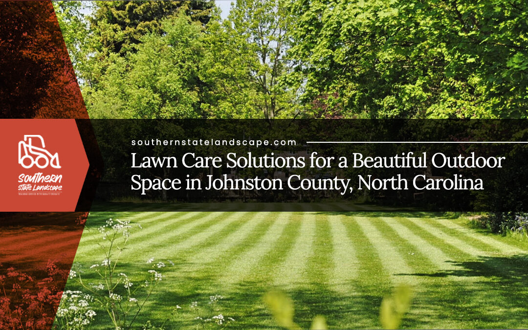 Lawn Care Solutions for a Beautiful Outdoor Space