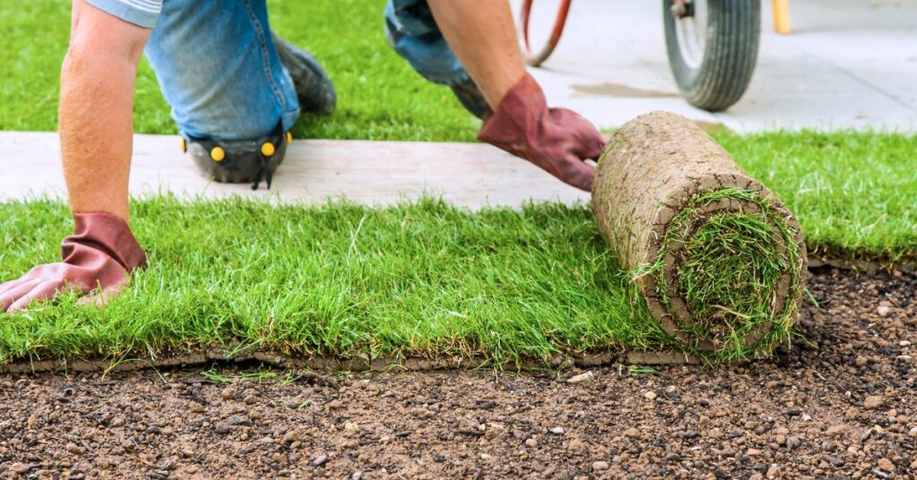 Sod Laying Mistakes