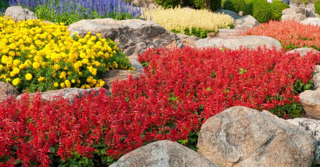 Modern Flower Bed Ideas