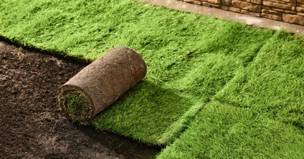 Sod Laying Mistakes