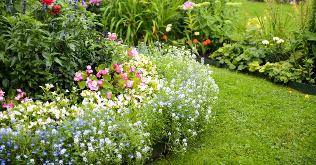 Modern Flower Bed Ideas