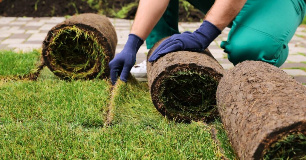 Sod Laying Mistakes