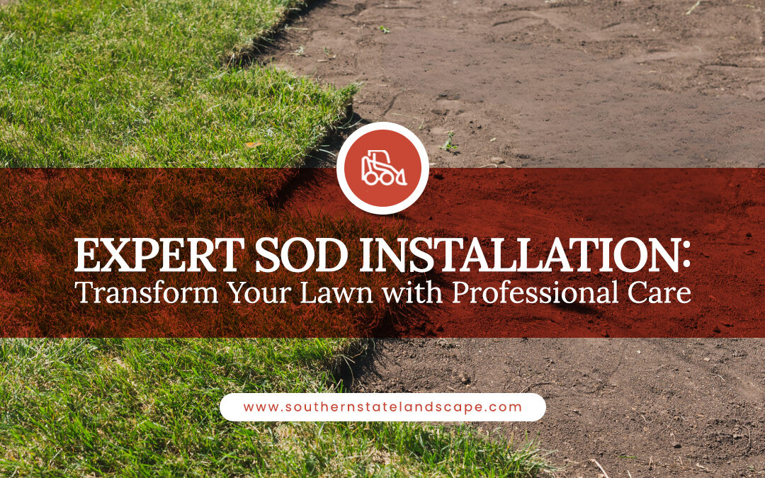 Expert Sod Installation: Transform Your Lawn