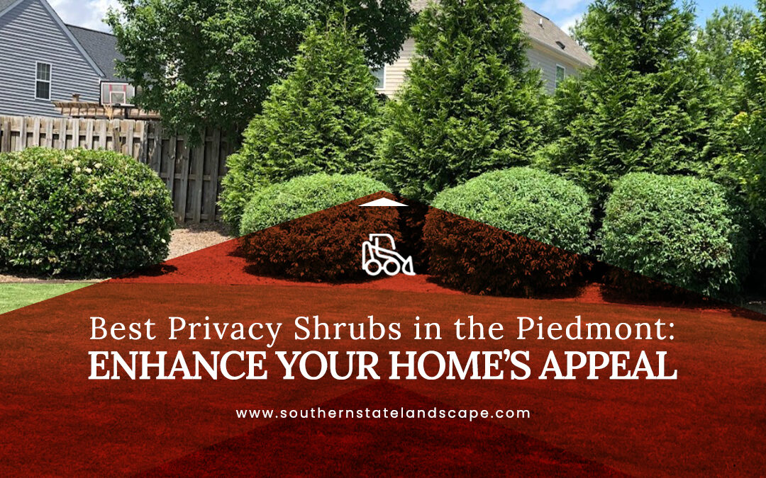 Best Privacy Shrubs in the Piedmont: Enhance Your Home’s Appeal