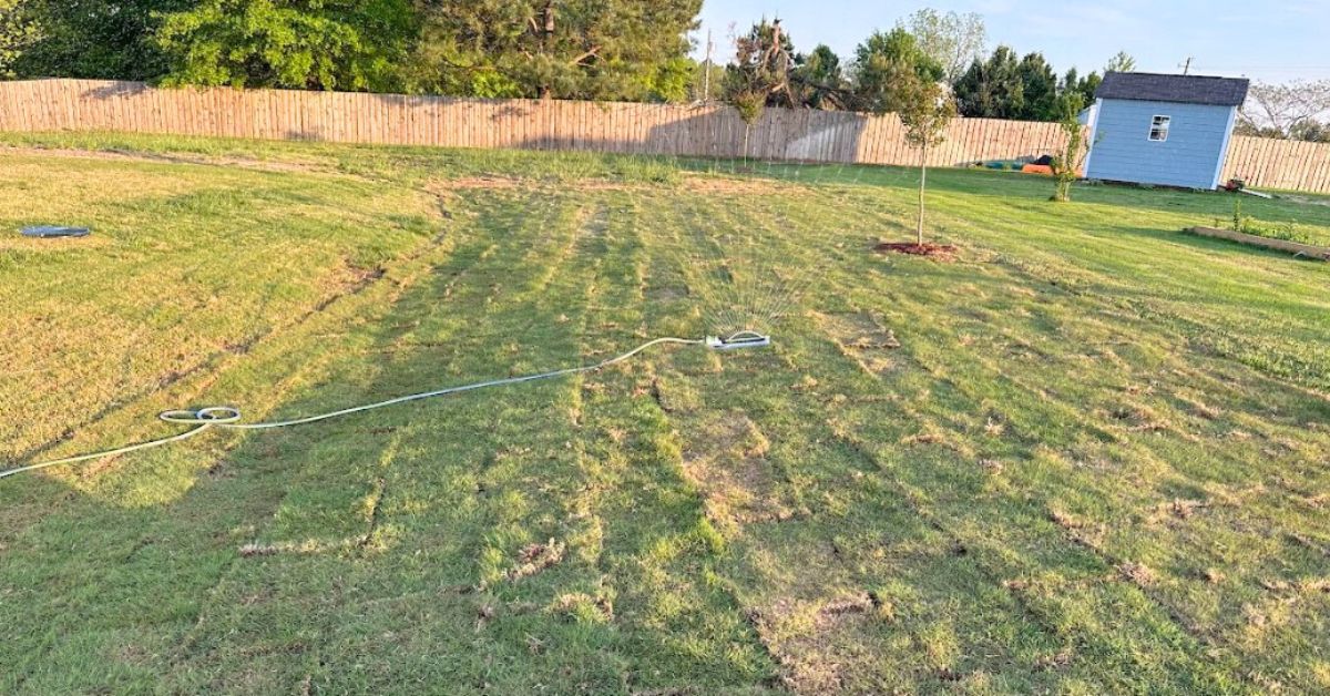 Sod Installation near me