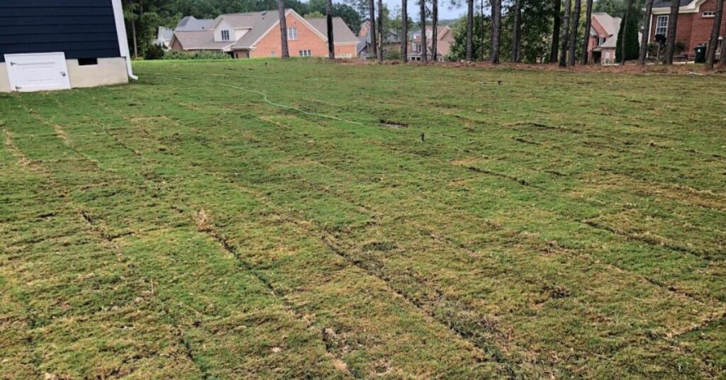 Sod Installation near me