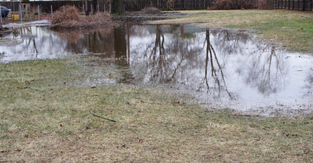 pooling water