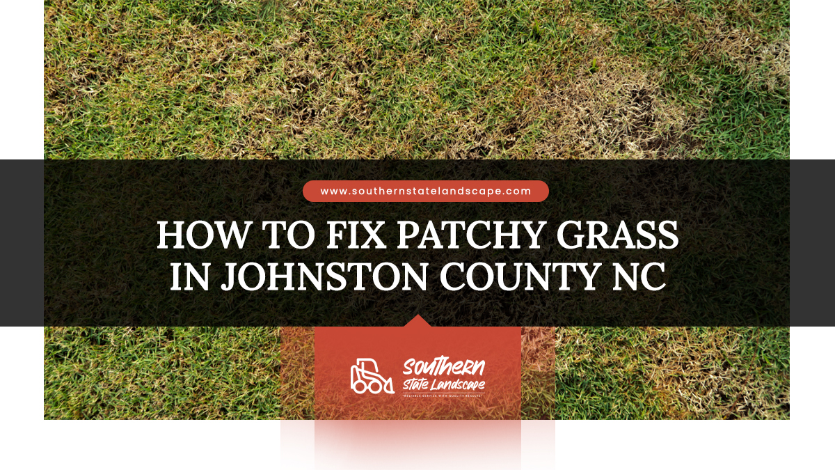 patchy grass