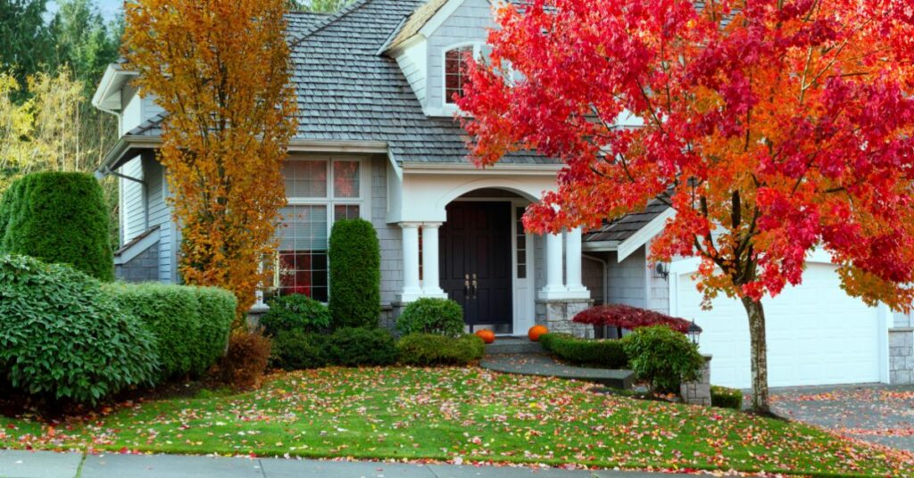 How to Get Rid of Leaves Without Raking