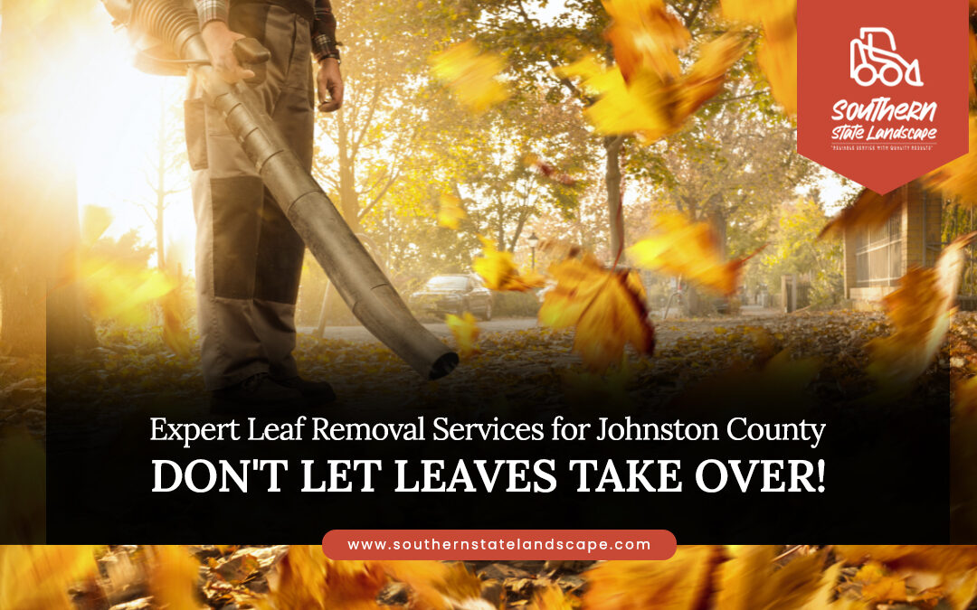 Expert Leaf Removal Services for Johnston County: Don’t Let Leaves Take Over!