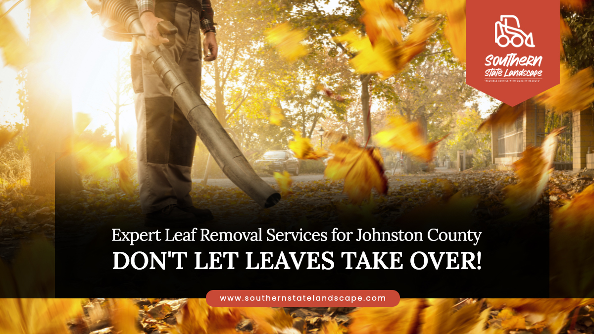 leaf removal