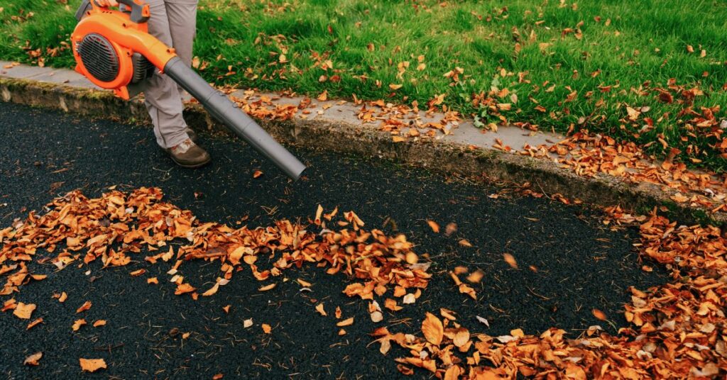 How to Get Rid of Leaves Without Raking