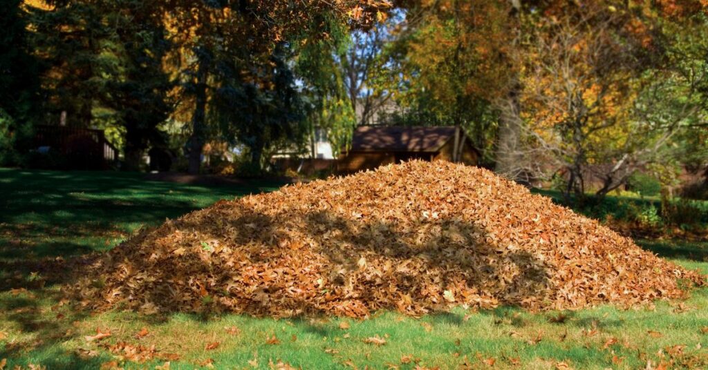 How to Get Rid of Leaves Without Raking