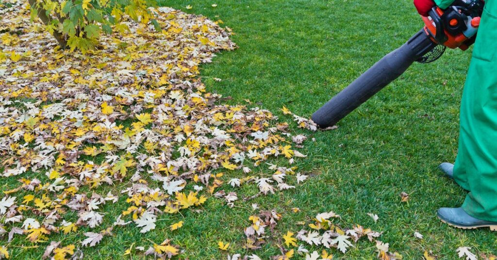 leaf cleanup near me