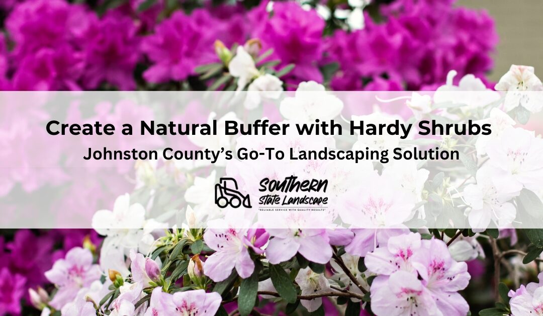 Create a Natural Buffer with Hardy Shrubs in Johnston County