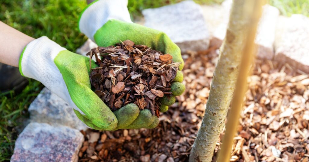 What Should I Put Down Before Mulching