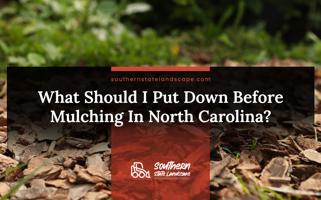 What Should I Put Down Before Mulching In North Carolina?