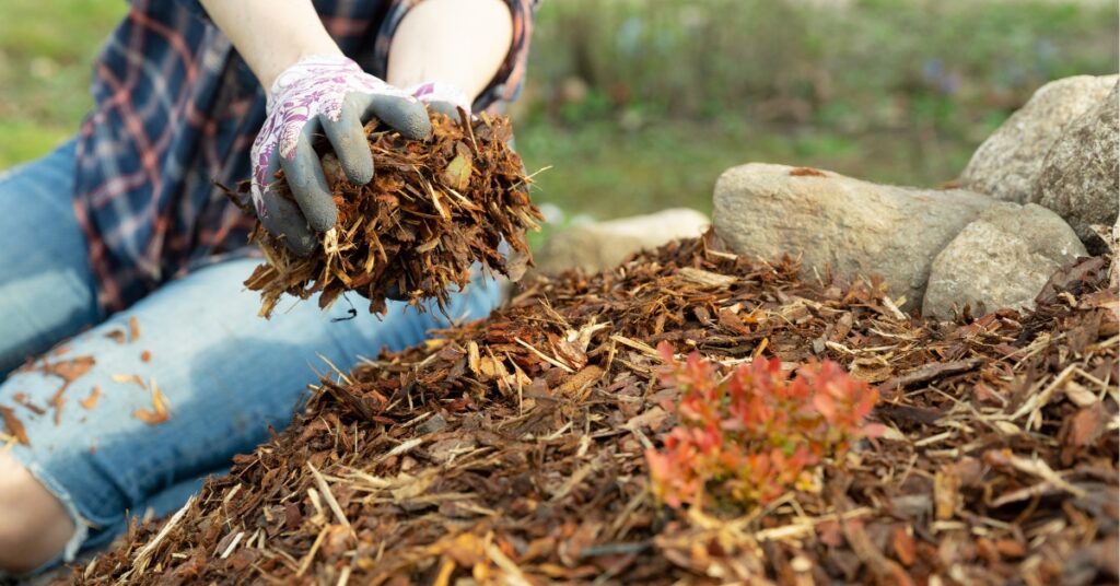 What Should I Put Down Before Mulching