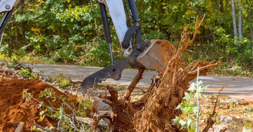 stump removal