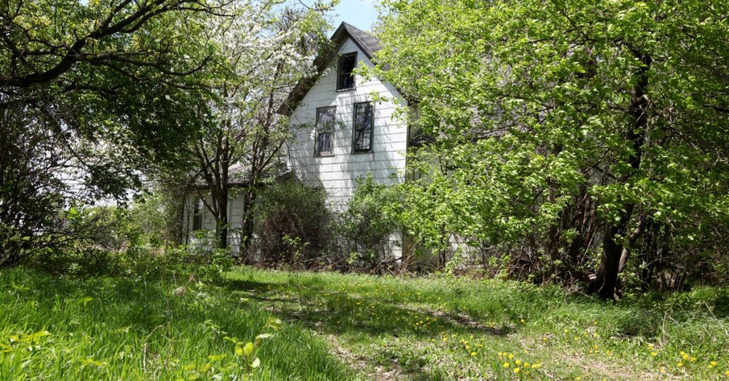 overgrown farmhouse