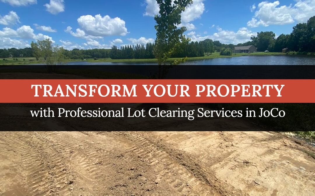 Transform Your Property with Professional Lot Clearing Services