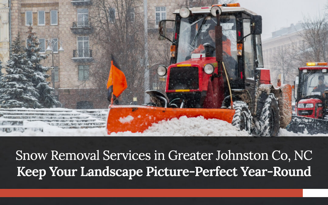 Snow Removal Services in Greater Johnston Co, NC