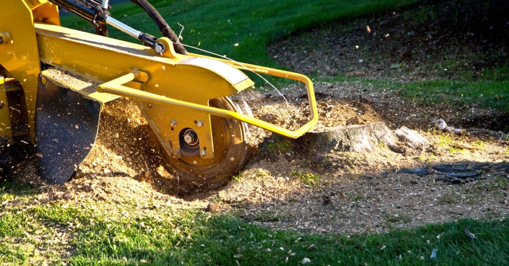 stump grinding