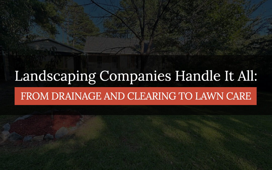 Landscaping Companies Handle It All