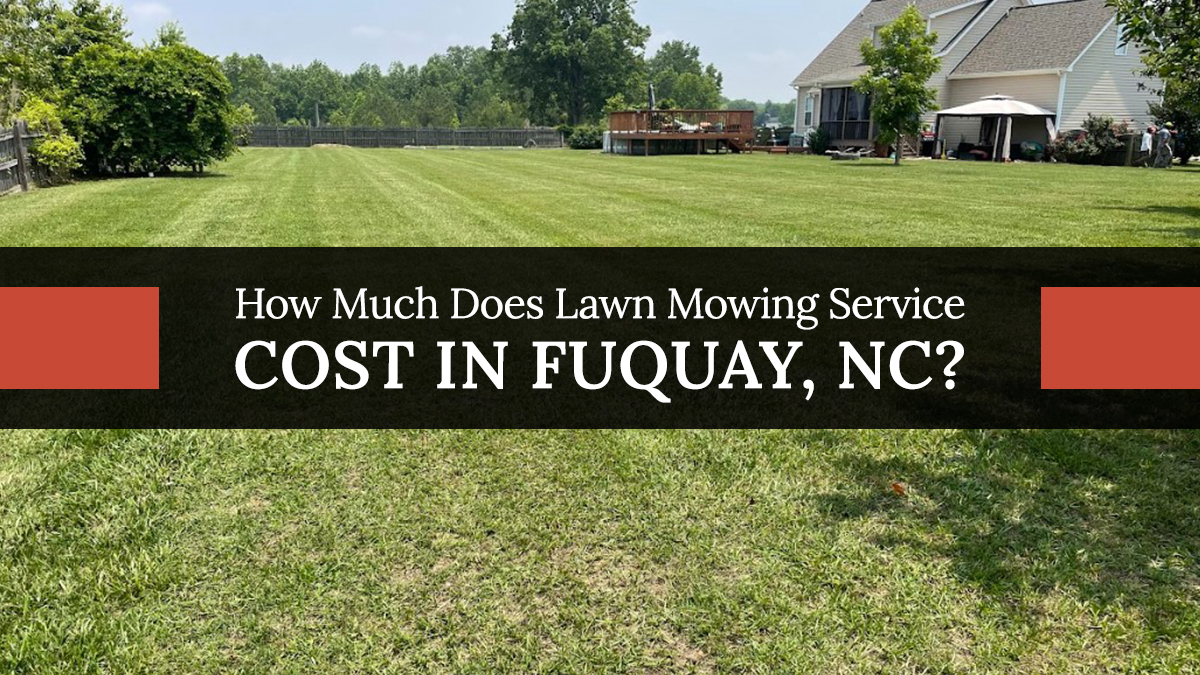 Lawn Mowing Service Cost