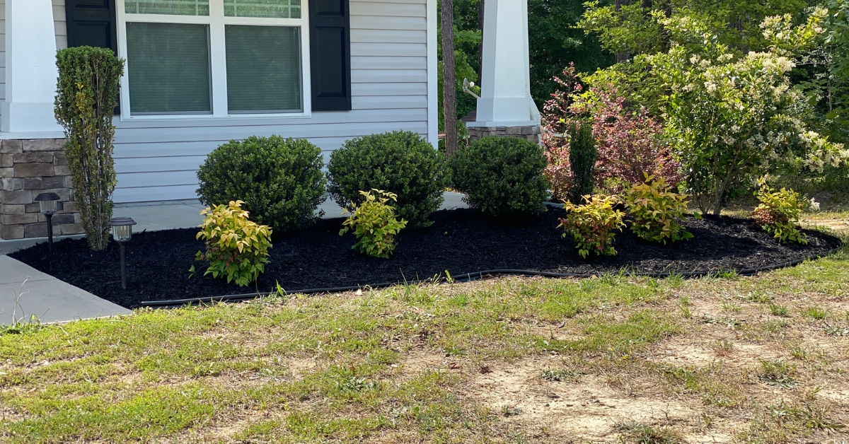 Untitled design (62) lawn seeding service